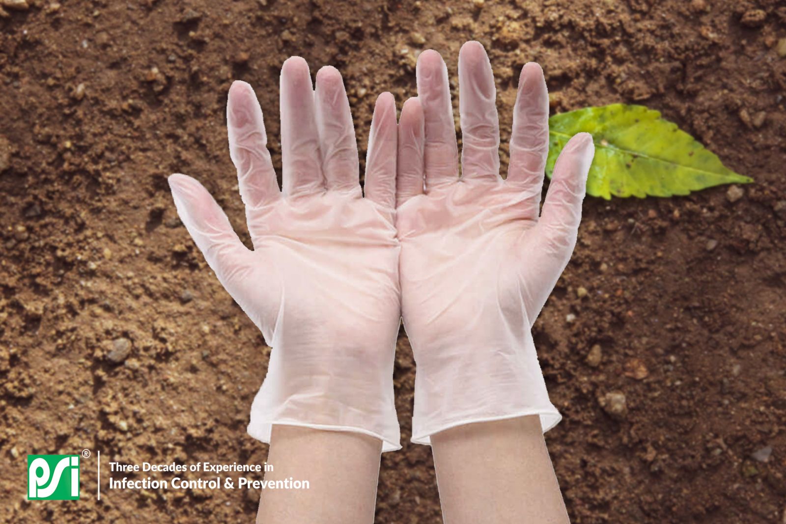 disposable biodegradable gloves