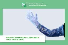 How Do Veterinary Gloves Keep Your Hands Safe?
